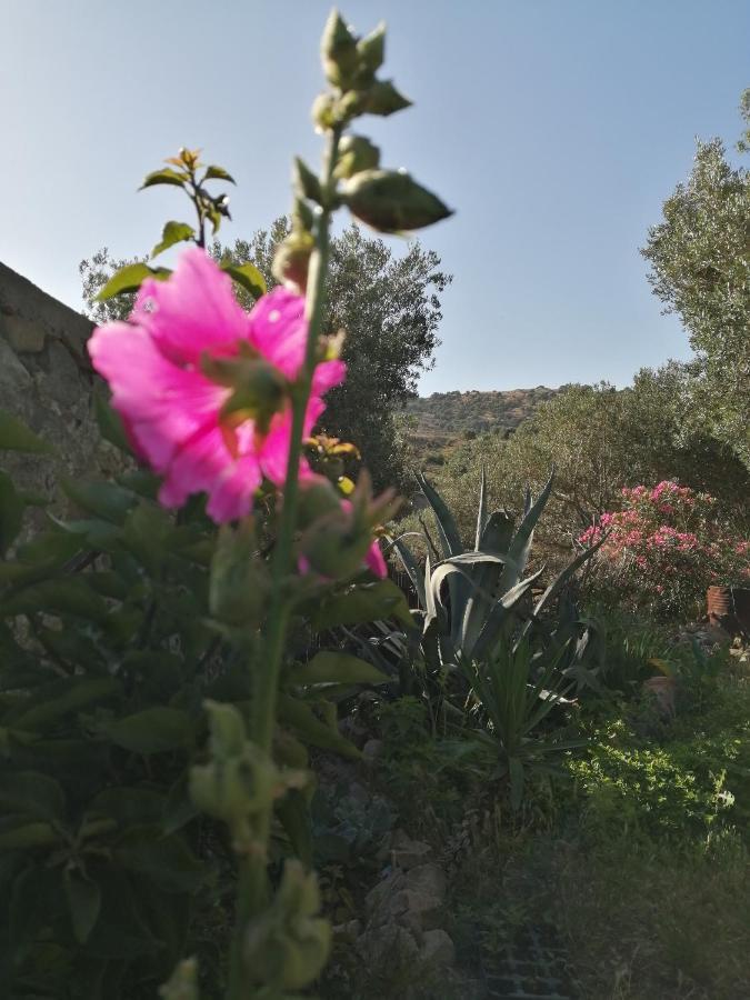 Arcadia Eressos Hotel Exterior photo